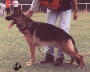 KUIRAU KRAMER